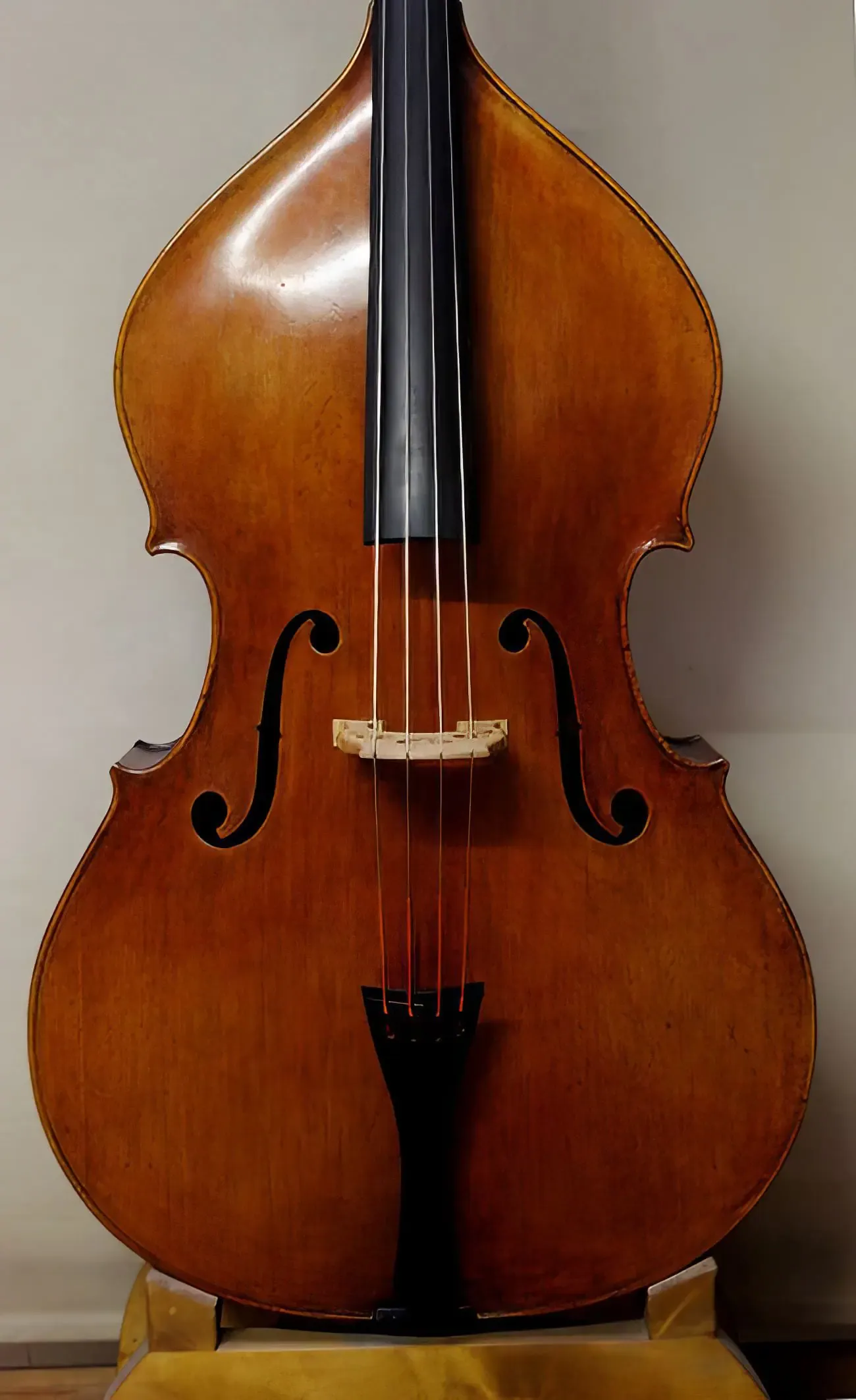 Pareschi | Poellmann Contrabass